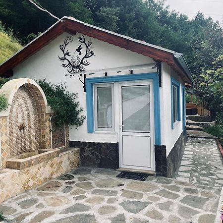 Cozy Home In Ardino מראה חיצוני תמונה