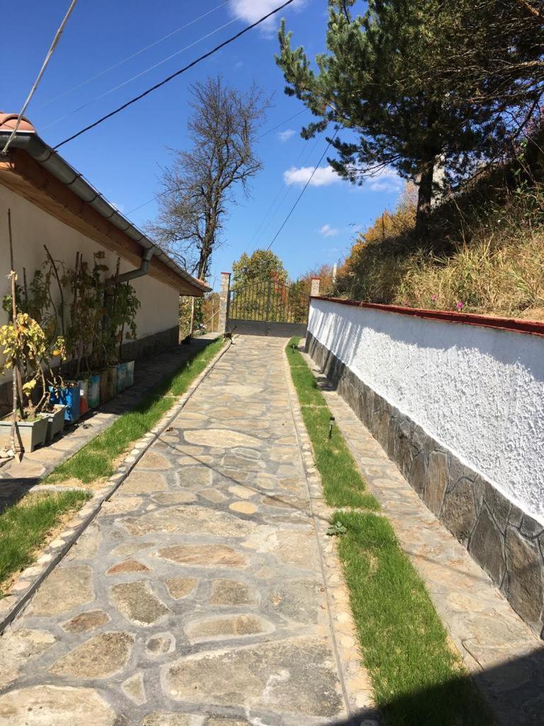 Cozy Home In Ardino מראה חיצוני תמונה